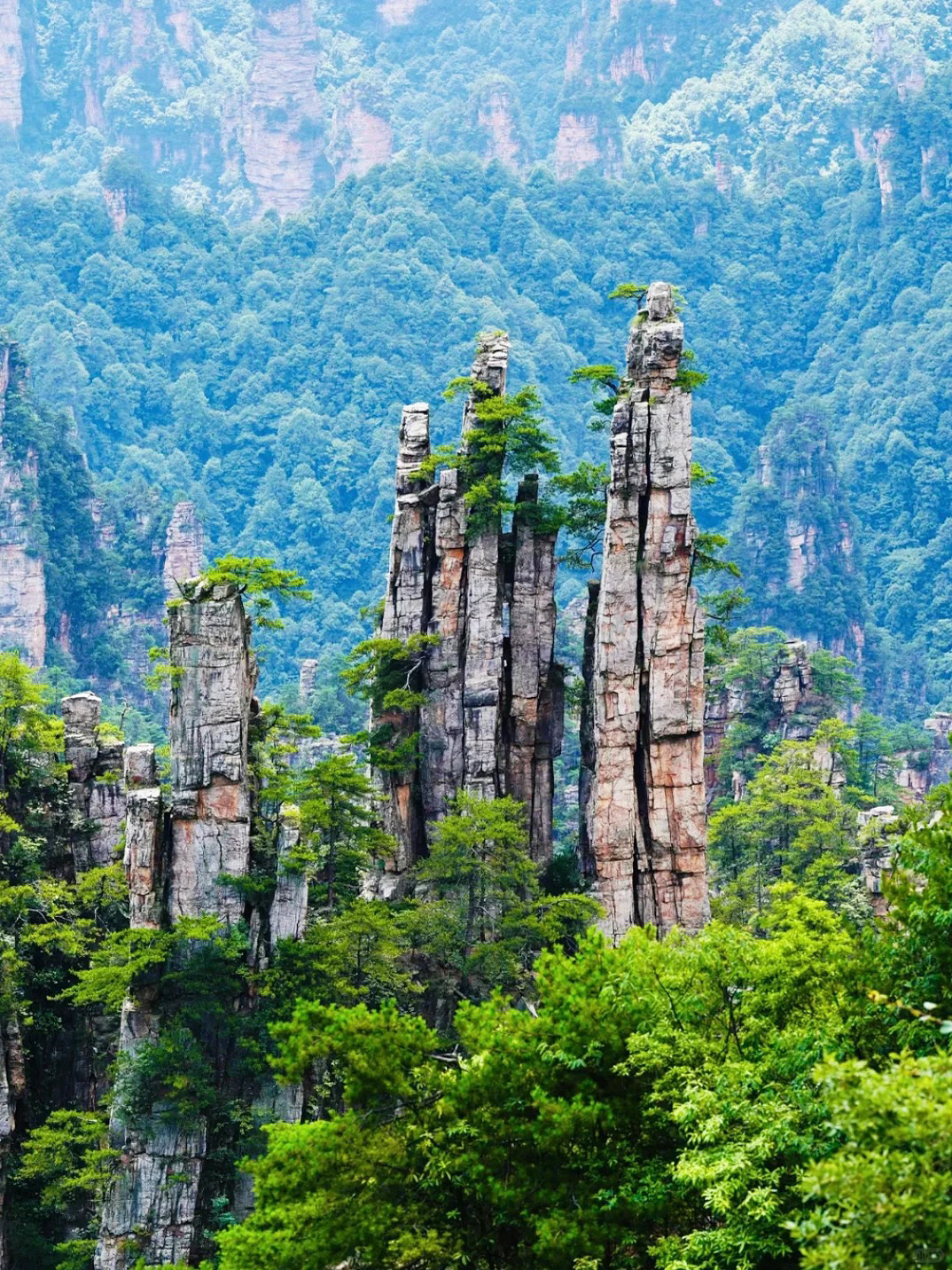 Tianzi Mountain, Zhangjiajie Tour, China Tour