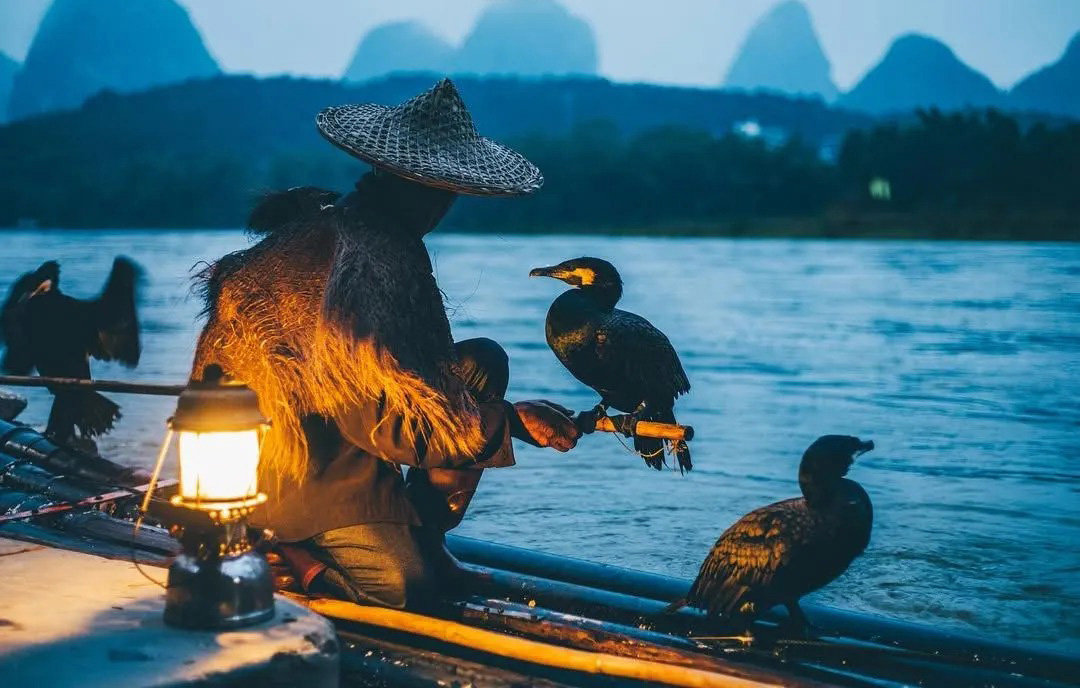 cormorant fishing Chengdu tour China tour